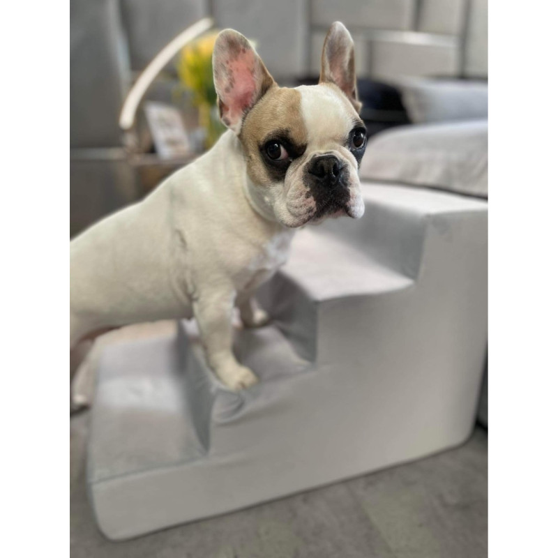 A.FATI Scale Per Cani, Letto A 4 Livelli, In Schiuma Ad Alta Densità, Per Divano, Scala Antiscivolo, Altezza 50 Cm, Per Cani Di Piccola Taglia, Con Corda Giocattolo Per Cani (grigio