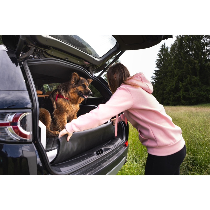 Remorque De Transporteur De Voiture Avec Des Voitures Sur La Plate-forme De Couchette Camion De